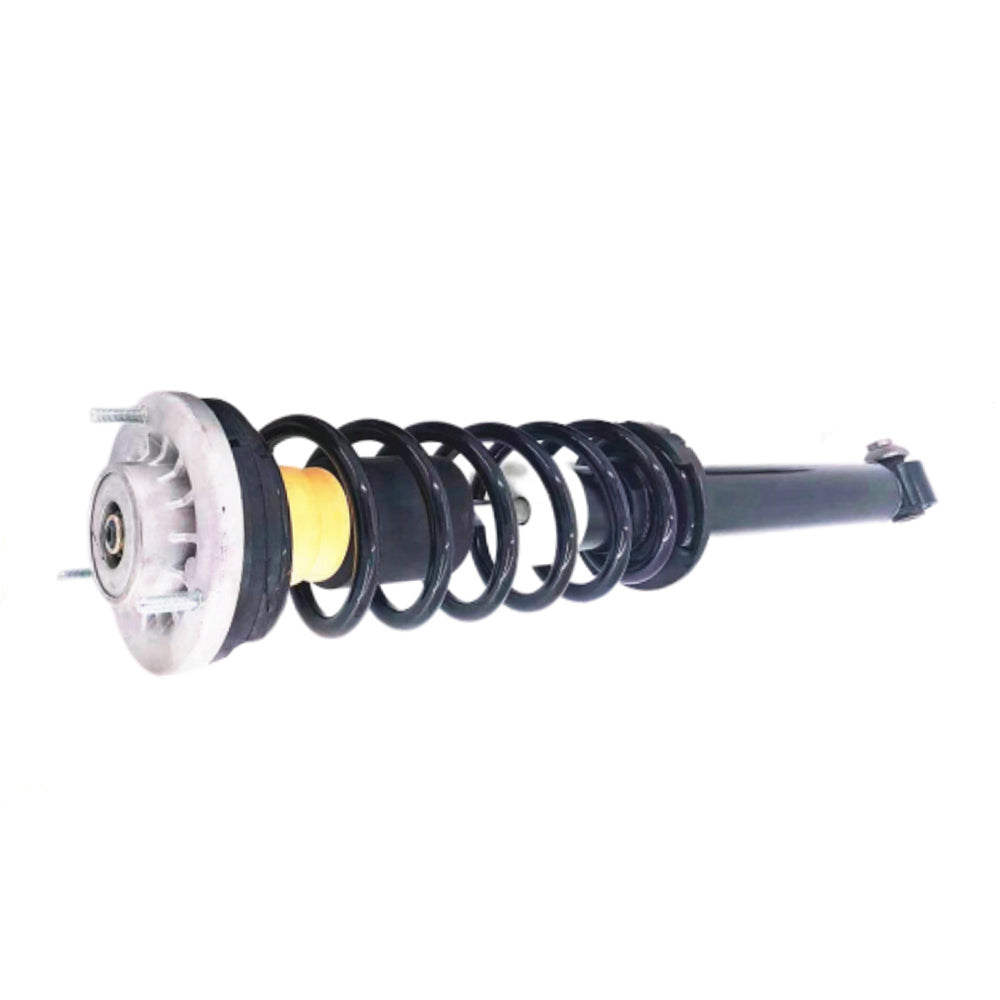 Fit BMW F10 F11 F12 F18 528i 535i 550i Rear Shock Absorber Strut Assembly