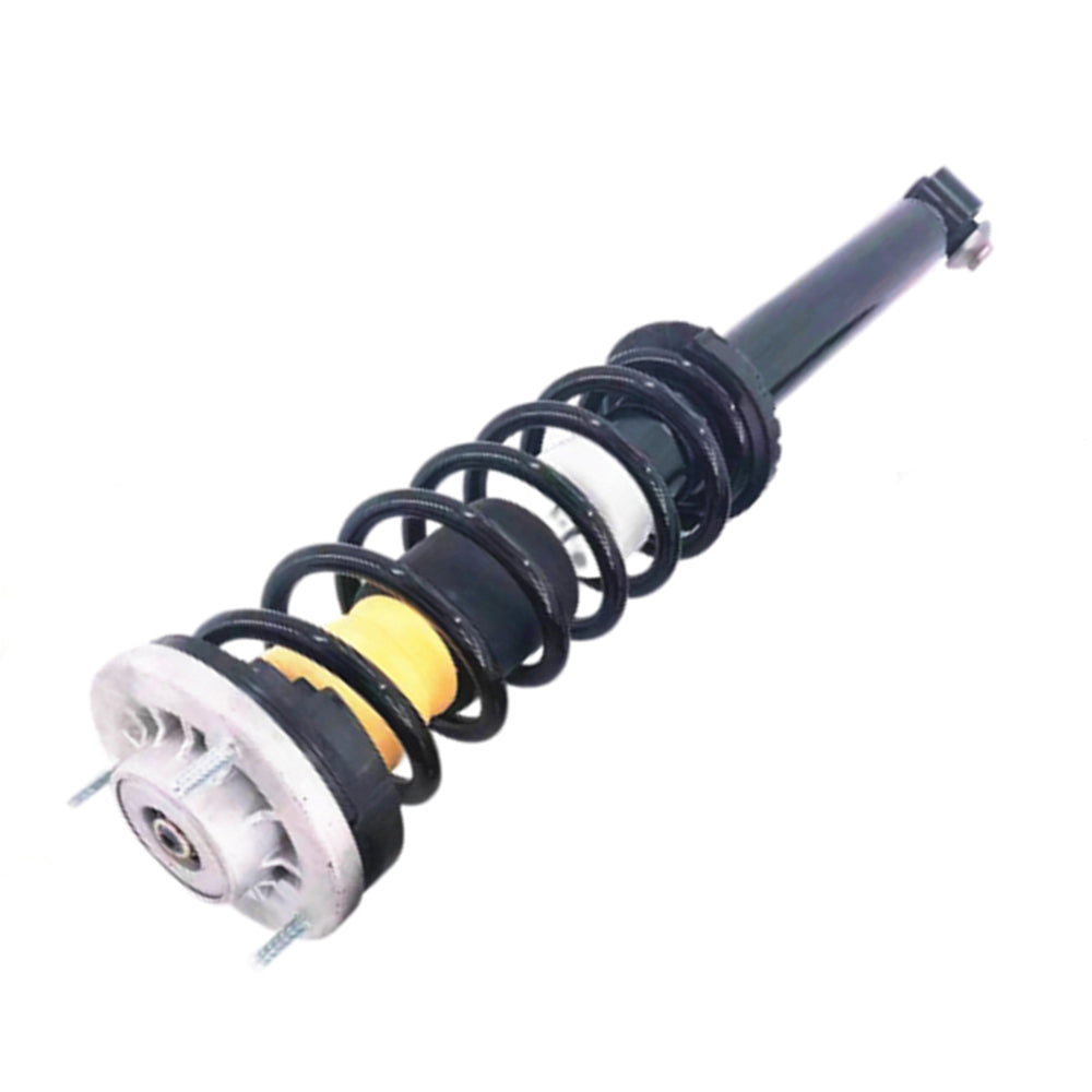 Fit BMW F10 F11 F12 F18 528i 535i 550i Rear Shock Absorber Strut Assembly